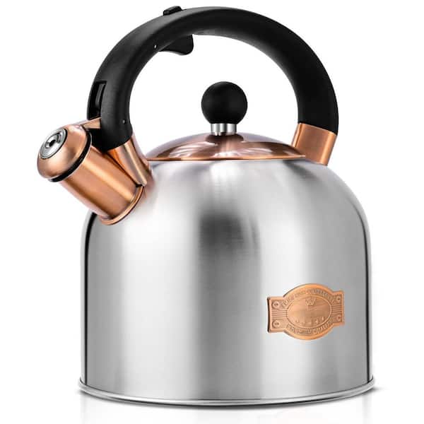 12-Cup Silver Stainless Steel Stovetop Tea Kettle, Whistling Kettle, Tea Pot with Ergonomic Handle for All Stovetops