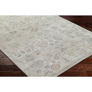 Alpharetta Medium Gray Medallion 8 ft. x 10 ft. Indoor Area Rug