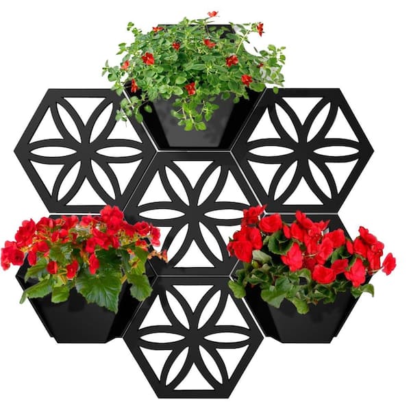 Plastec 10 in. x 12 in. Hexagon Black Wall Planter (Set of 7)