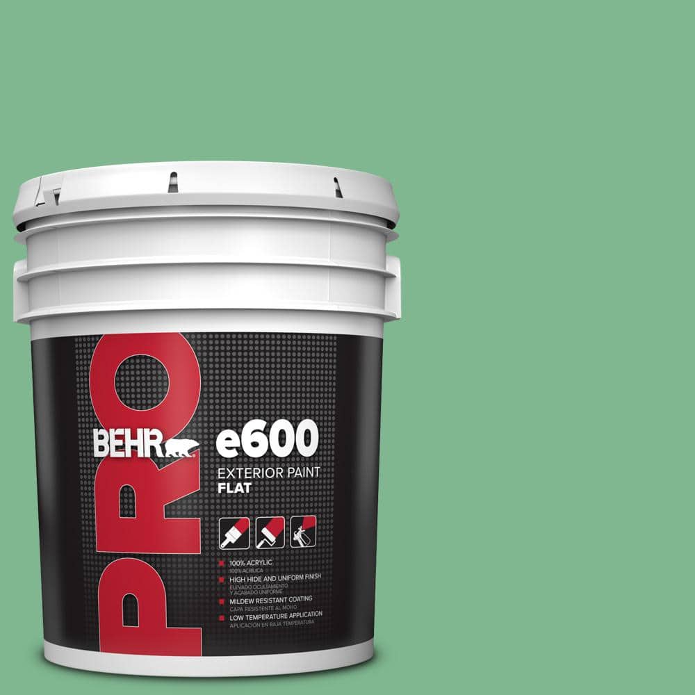 5 gal. #BIC-40 Veiled Chameleon Flat Exterior Paint price history on PriceWatchPro