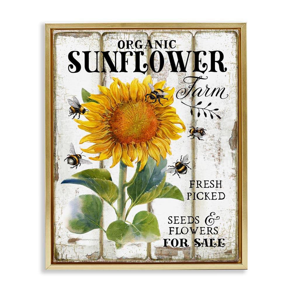 Organic Sunflower Farm by Creatif Belle Gold Floater Frame Animal Graphic Art Print 31 in. x 25 in. price history on PriceWatchPro