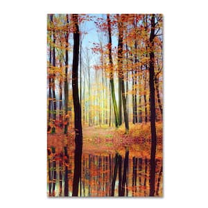 19 in. x 12 in. "Fall Mirror" by Philippe Sainte-Laudy Printed Canvas Wall Art