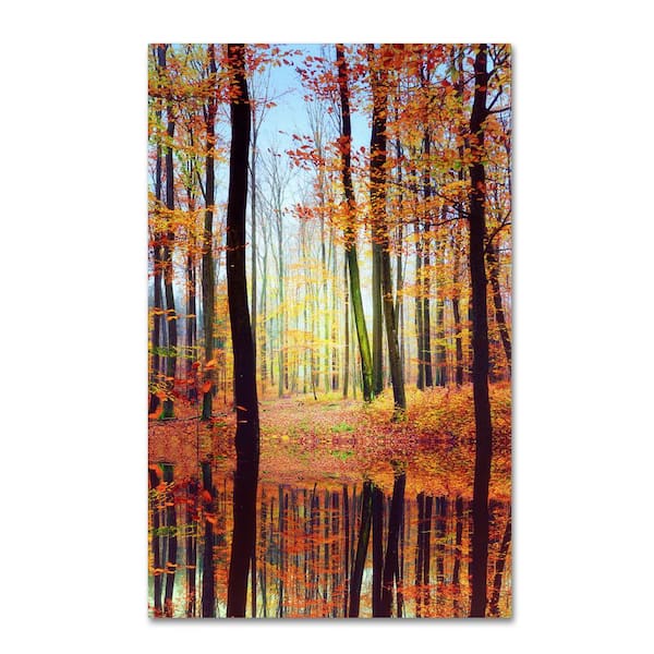 Trademark Fine Art 32 in. x 22 in. "Fall Mirror" by Philippe Sainte-Laudy Printed Canvas Wall Art
