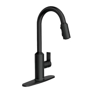 Meena Single-Handle Pull-Down Sprayer Kitchen Faucet with Power Clean and Reflex in Matte Black