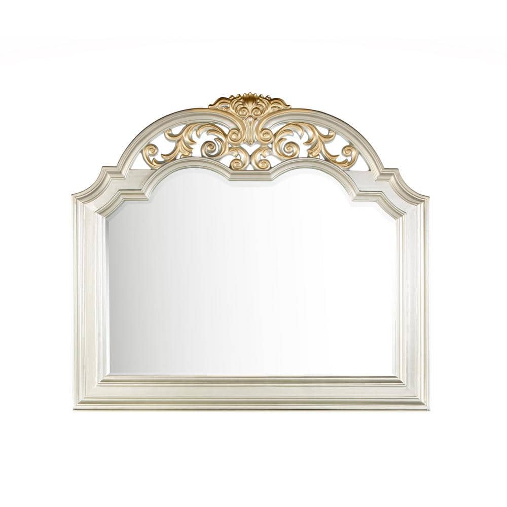 Lyon 54 in. W x 48 in. H Rectangle Framed Silver Champagne Dresser Mirror