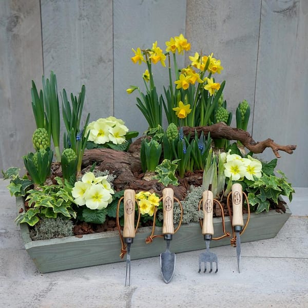 Bonsai Tools Gardeners Stock Photo 209770924