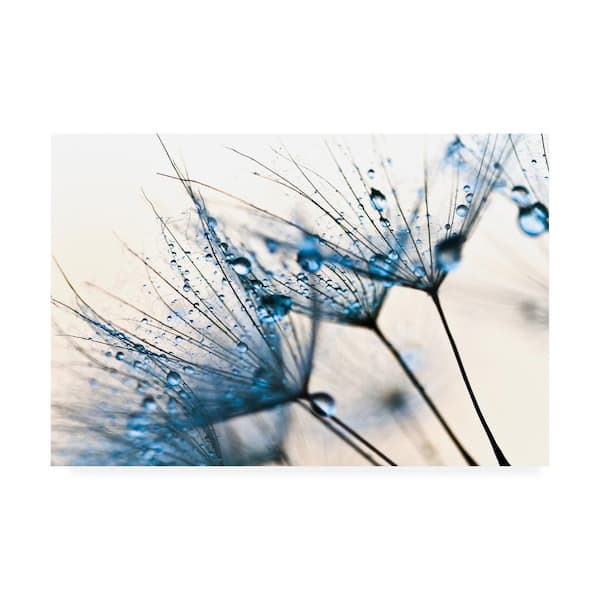 Trademark Fine Art Photo INC Studio Mystic Blue Canvas Unframed Photography Wall Art 30 in. x 47 in.