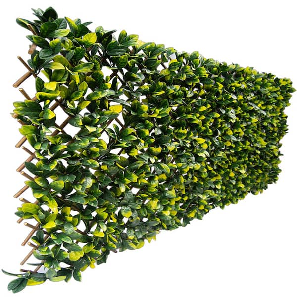 Green Smart Dekor 40 in. x 80 in. Artificial Lemon Leaf Lattice Screen