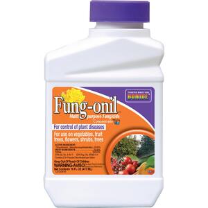 16 oz. Fung-onil Fungicide Concentrate