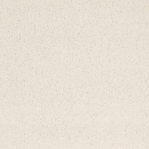 Coral Reef I - Always Cream - Beige 65.5 oz. Nylon Texture Installed Carpet