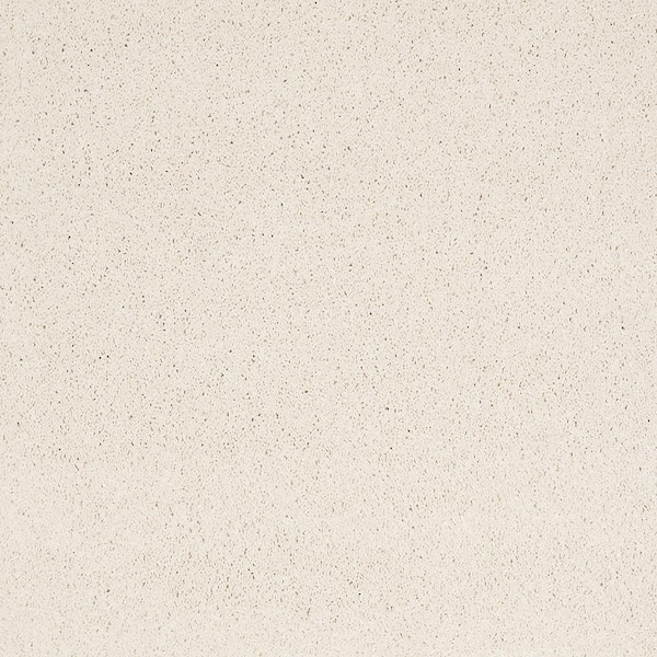 Lifeproof Coral Reef I - Always Cream - Beige 65.5 oz. Nylon Texture Installed Carpet