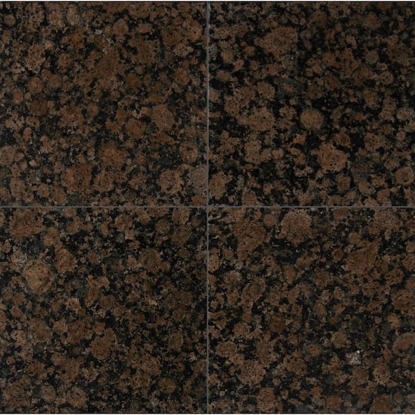 MSI Baltic Brown 12 in. x 12 in. Polished Granite Floor and Wall Tile (10 sq. ft. / case)