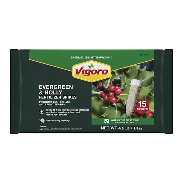 Vigoro 4.2 lb. Evergreen and Holly Fertilizer Spikes, 15 Spikes 253208 -  The Home Depot