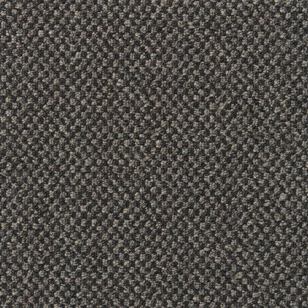 8 in. x 8 in. Pattern Carpet Sample - Colwick -Color Granite price history on PriceWatchPro