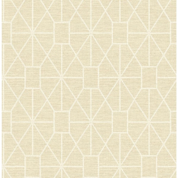 Advantage Stevenson Trellis Multi-Colored Non Pasted Non Woven Wallpaper