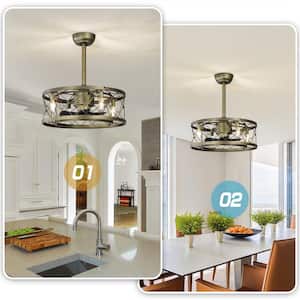 20 in. Smart Indoor Brushed Gold Cage Ceiling Fan with Remote Control and 5 ABS Reversible Quiet Motor Blades Fan Lights