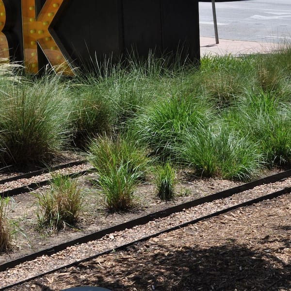 Colmet 12 in. x 10-Gauge Black Steel Edging Stake 10FS12-BK - The