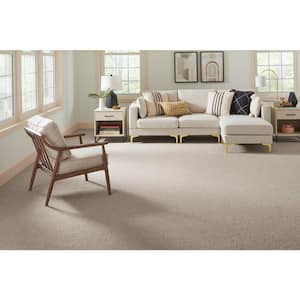 Cleoford Southwest Brown 47 oz. Triexta Texture Installed Carpet