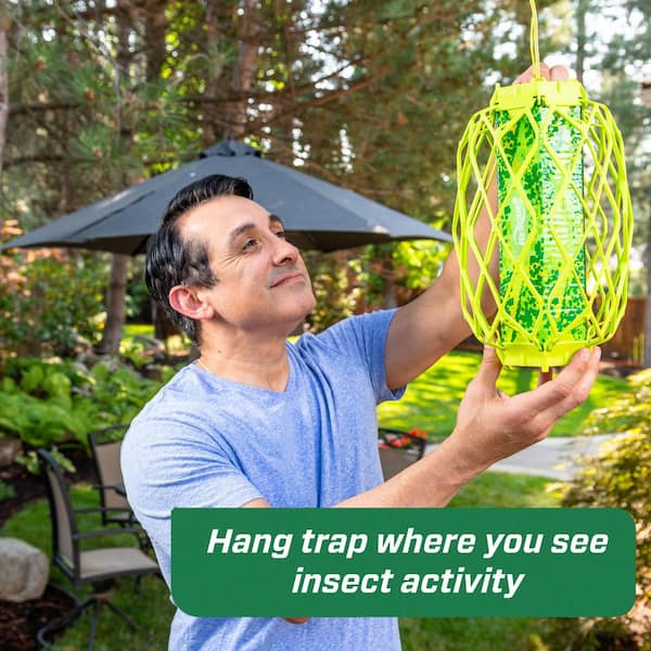 Reviews for RESCUE TrapStik for Wasps Mud Daubers and Carpenter