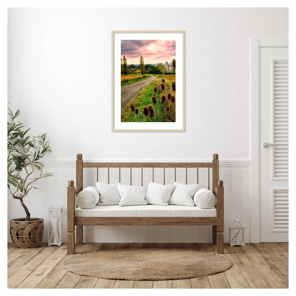Chateau Tauzia Thistles Scenic Photography Print in Svelte Natural Frame