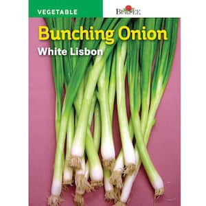Onion White Lisbon Bunching Seed