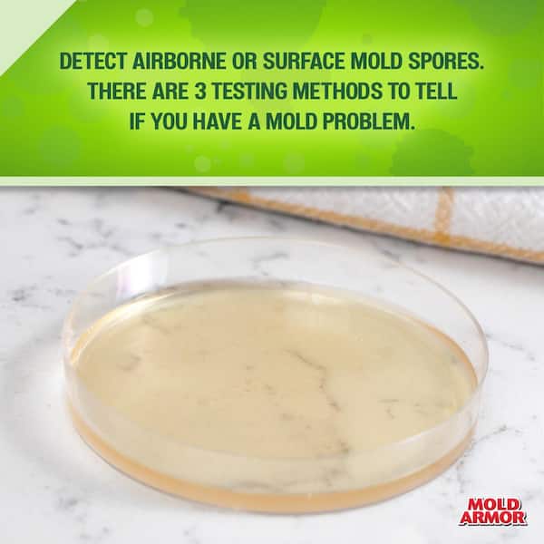 Are do it yourself mold test kits accurate and reliable