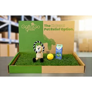 Gotta Go Grass Potty Pad with Tray + Waste Bags + Waste Bag Dispenser + Toy Ball + Squeaky Toy