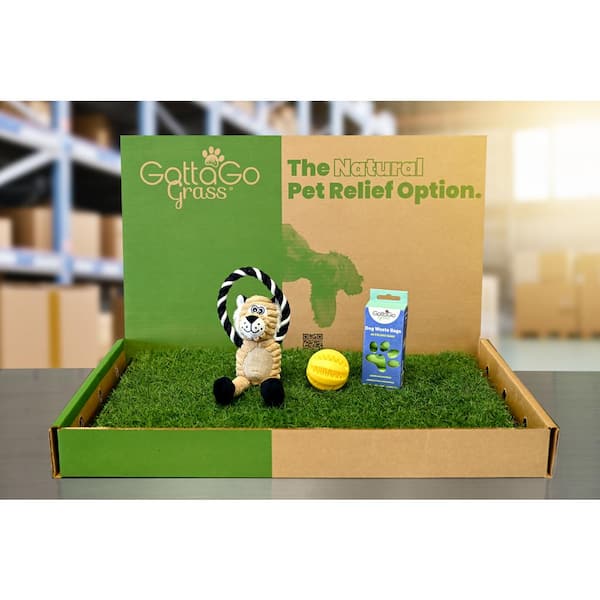 Unbranded Gotta Go Grass Potty Pad with Tray + Waste Bags + Waste Bag Dispenser + Toy Ball + Squeaky Toy