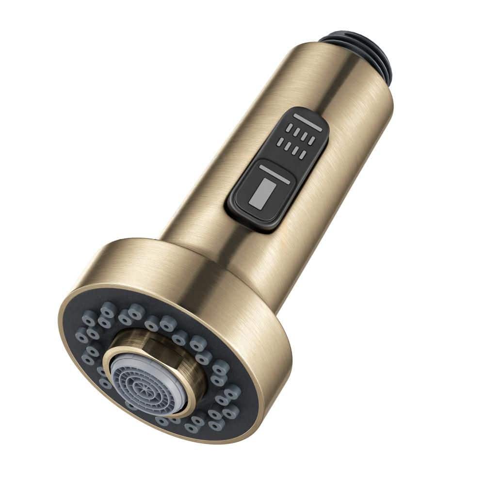 Universal 2-Function Replacement Sprayer for Pull Down Kitchen Faucet in Spot-Free Antique Champagne Bronze price history on PriceWatchPro