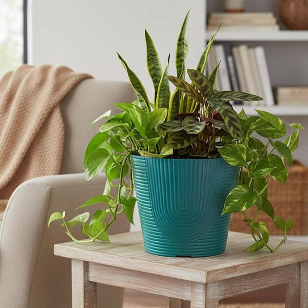 Vigoro Hayze Medium Teal Plastic Lightweight Round Planter with