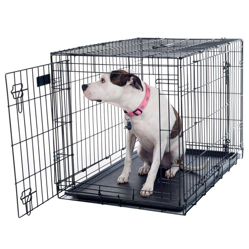 Extra Large Black Foldable Double Door Dog Crate with Divider