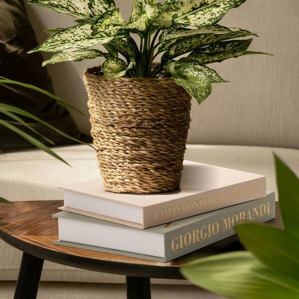 Sage Green 7.87 in. x 11 in. Linen Faux MDF Decorative Books with ...