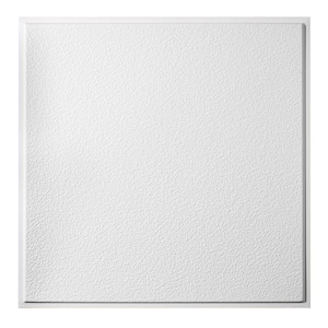 2 ft. x 2 ft. Stucco Pro Revealed Edge Lay-In Ceiling Tile