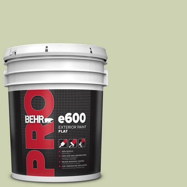 BEHR PRO 5 gal. #ECC-12-2 Meadow Glen Flat Exterior Paint