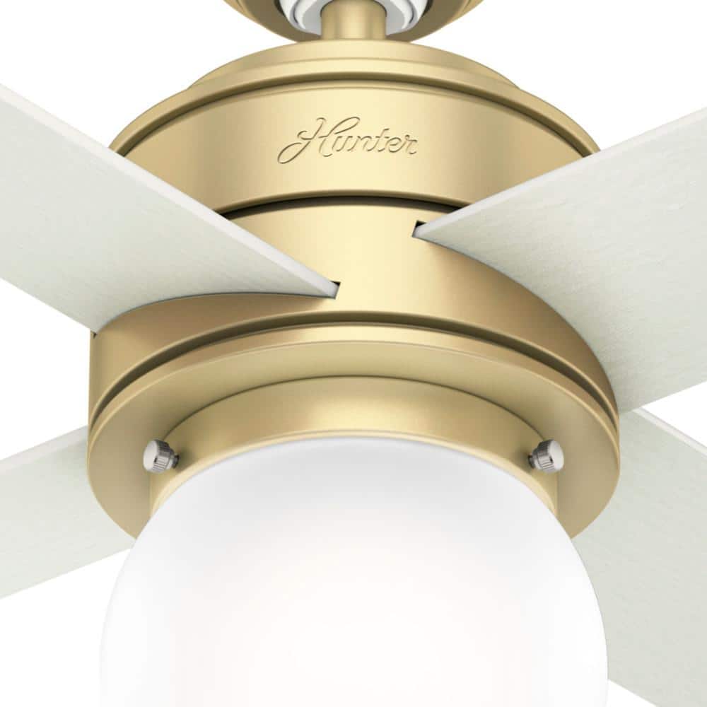 Hepburn 44" Modern Brass Low Profile Ceiling Fan with LED Chandelier