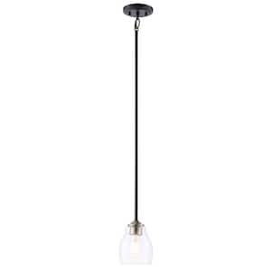 Winsley 1-Light Black and Stained Brass Bell Mini-Pendant with Clear Seeded Glass Shade