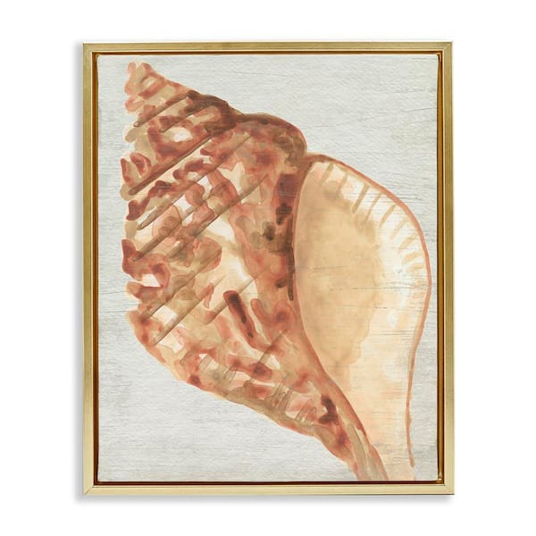 Stupell Industries Tan Conch Shell by June Erica Vess Gold Floater Frame Coastal Graphic Art Print 21 in. x 17 in.
