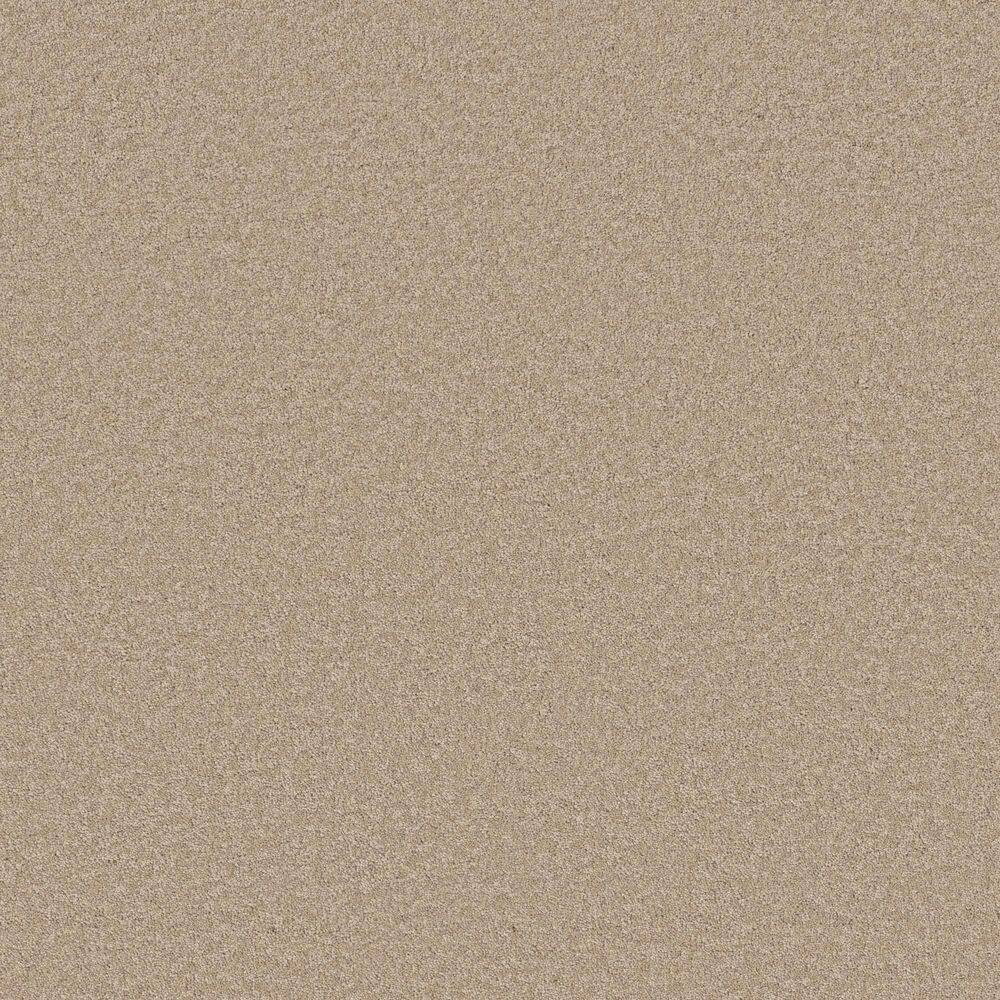 8 in. x 8 in. Texture Carpet Sample - Vignette Velvet II - Color Explorer price history on PriceWatchPro