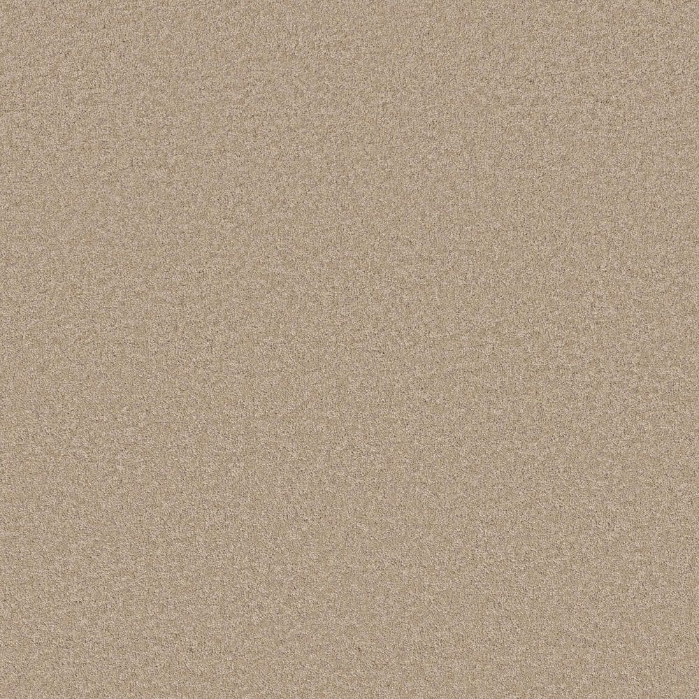 8 in. x 8 in. Texture Carpet Sample - Vignette Velvet I - Color Explorer price history on PriceWatchPro