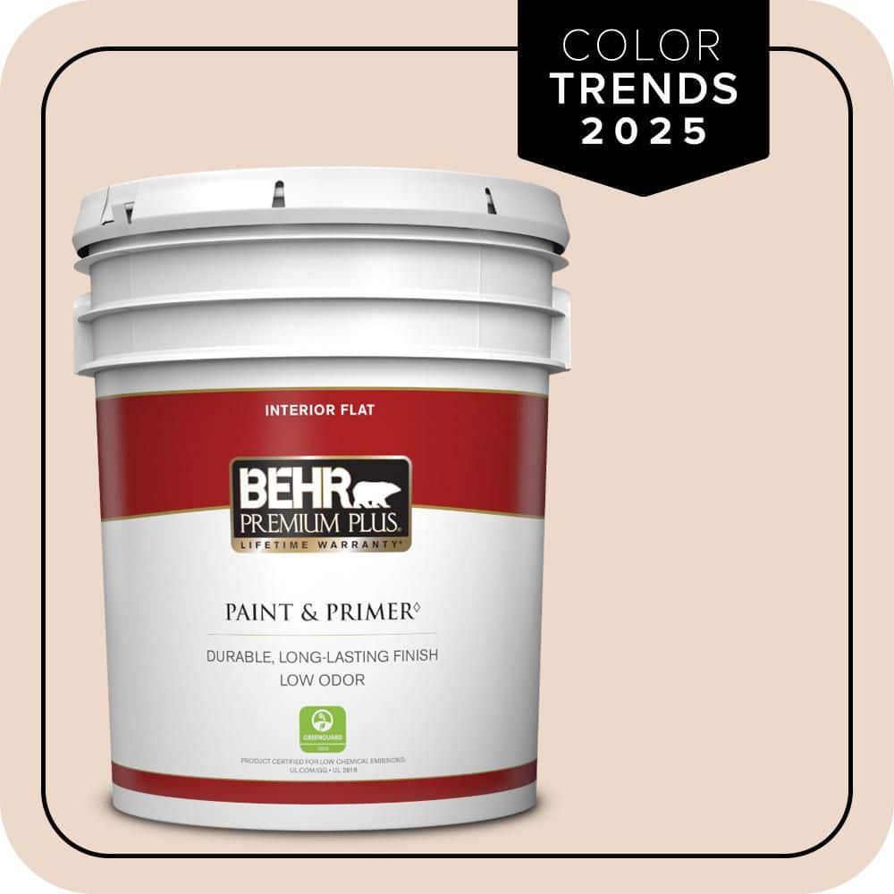 5 gal. #S210-1 Nutmeg Frost Flat Low Odor Interior Paint & Primer price history on PriceWatchPro