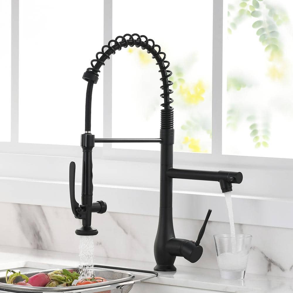 Black Stainless Steel Commercial Single Handle Kitchen Faucet with Pull-Down Sprayer