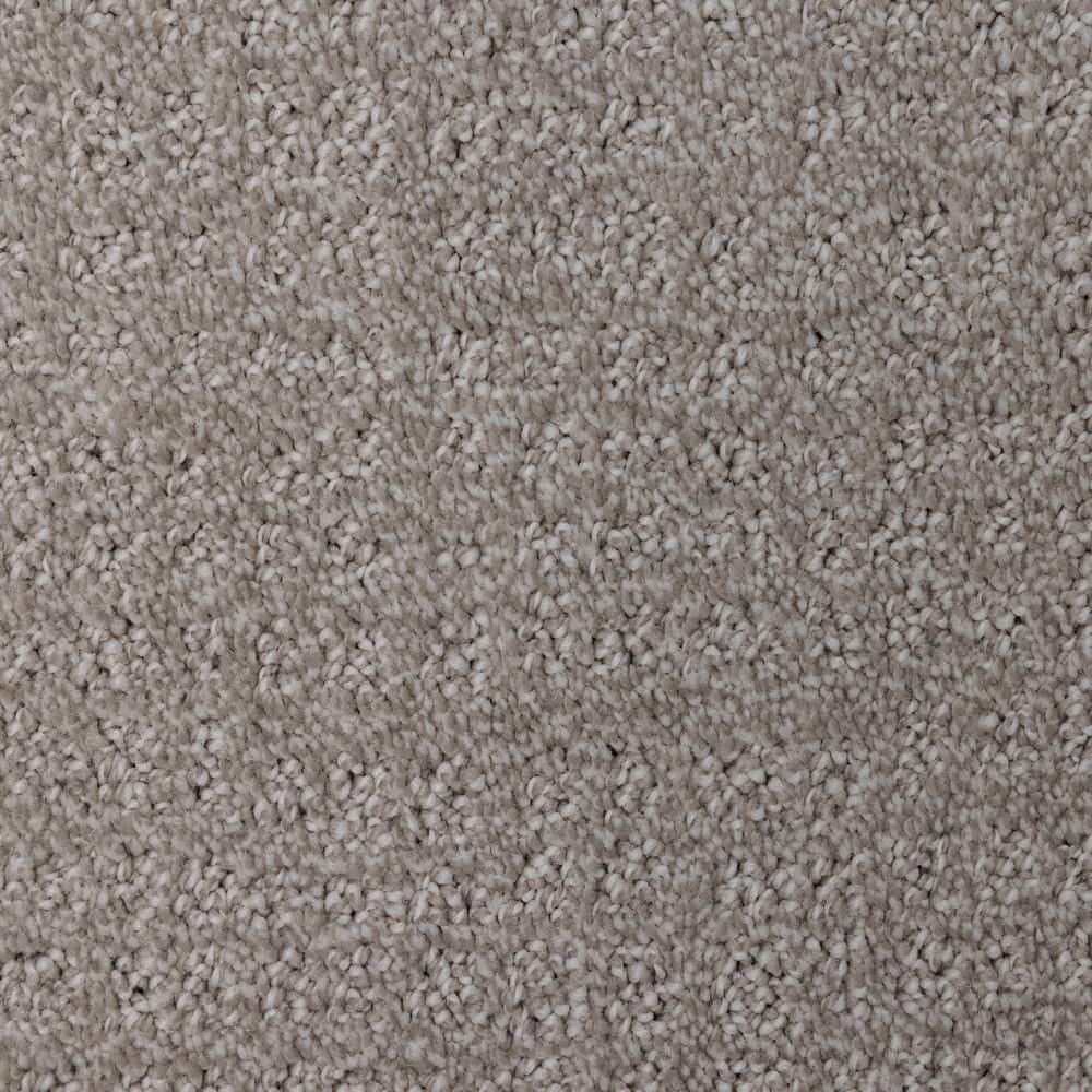 8 in. x  8 in. Pattern Carpet Sample - Wandering Scout -Color Flagstone price history on PriceWatchPro