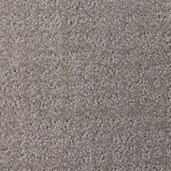 8 in. x  8 in. Pattern Carpet Sample - Wandering Scout -Color Flagstone
