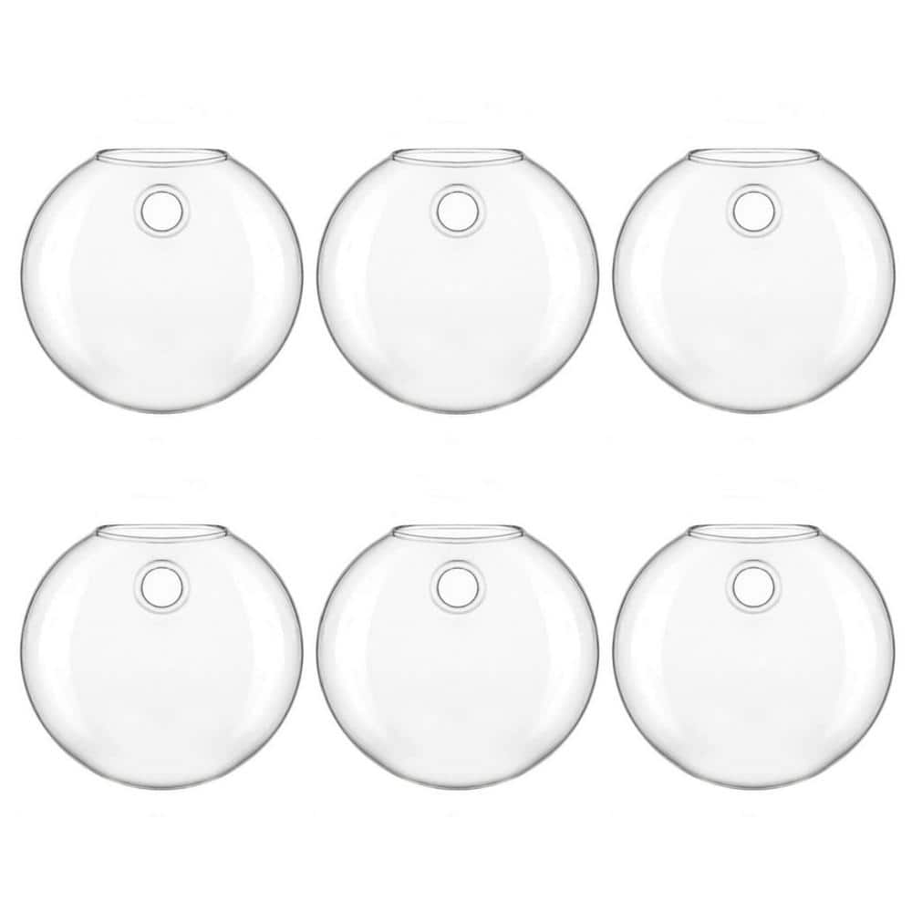 Wall Hanging Glass Planter Oblate Flower Vase for Hydroponics Plants and Li