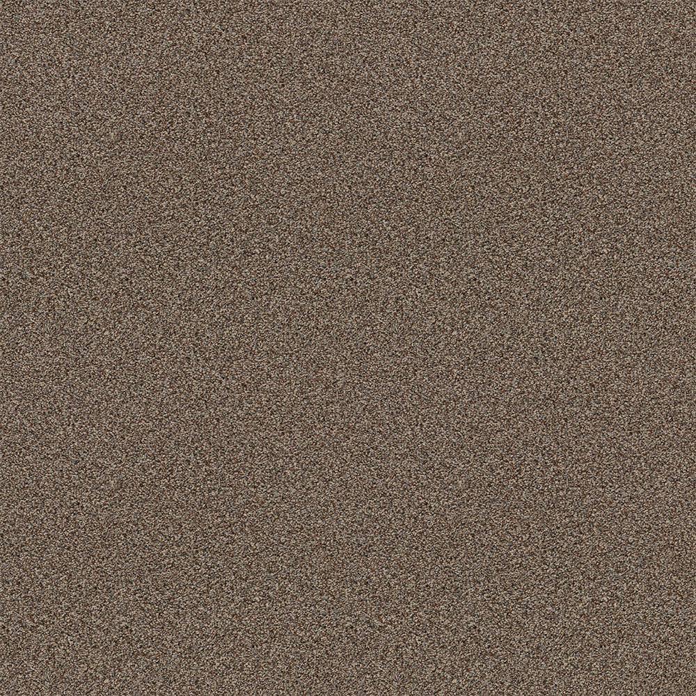 Home Decorators Collection Wholehearted I Color Pebble Path 15 ft. Twist CarpetHDE1413700