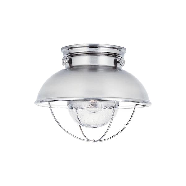Sebring 1-Light Brushed Stainless Outdoor Flush Mount Light with Clear Seeded Glass Diffuser