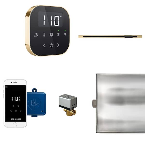 Mr. Steam Mr.Steam AirButler Linear Package Black Polished Brass
