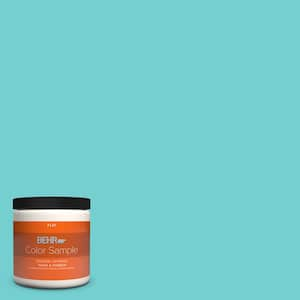 BEHR PREMIUM PLUS 8 oz. #120B-6 Watermelon Pink Satin Enamel  Interior/Exterior Paint & Primer Color Sample B370316 - The Home Depot