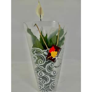 6 in. Spathiphyllum Plant in Deco Pot