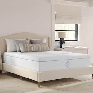 Queen Medium Memory Foam 12 in. Bed-in-a-Box Mattress